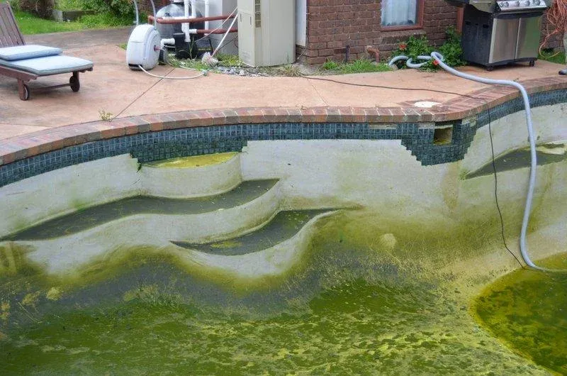 Pool before renovation — algae and surface damage